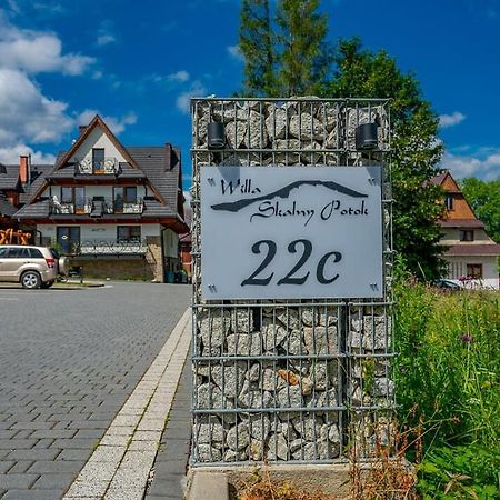 Willa Skalny Potok Zakopane Eksteriør bilde
