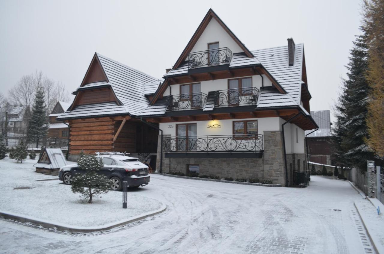 Willa Skalny Potok Zakopane Eksteriør bilde